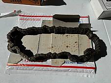 Harley 40005-57 Diamond 94 Link #35-3 Primary Chain Sportster 1957-03